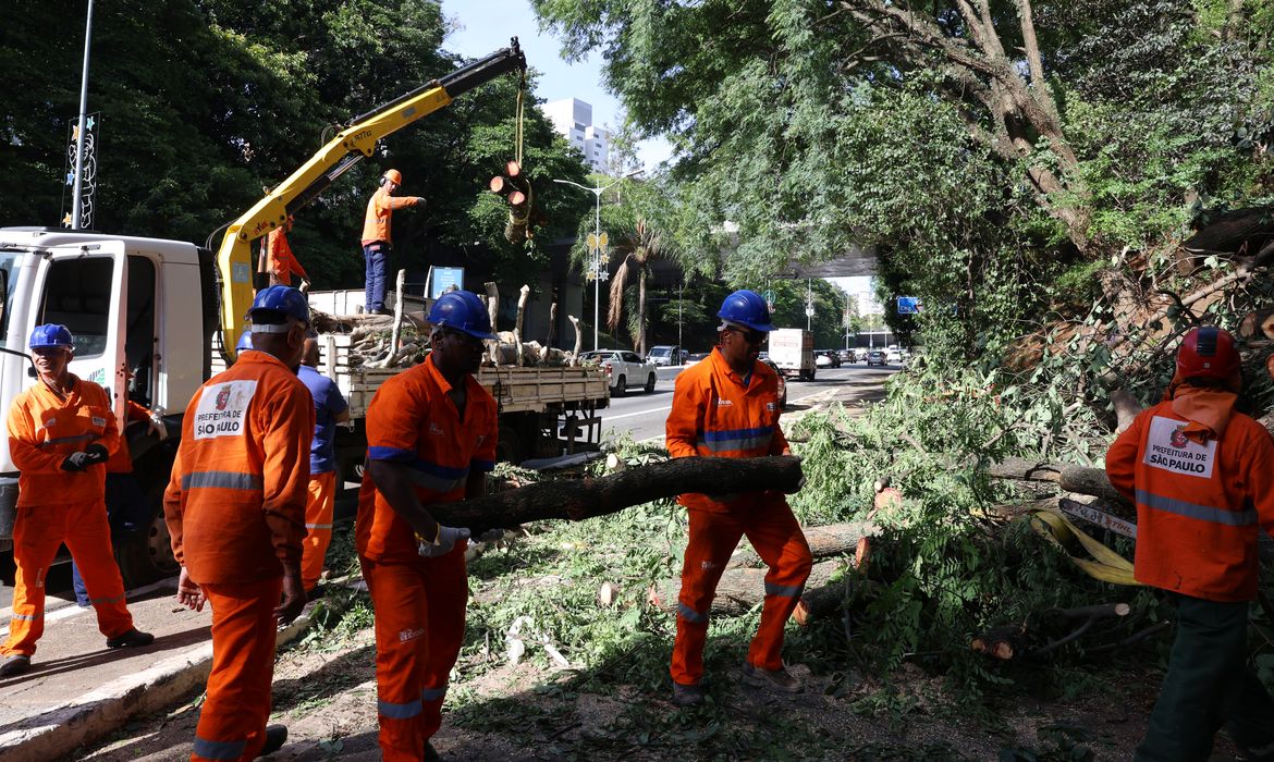 Rovena Rosa/Agência Brasil São Paulo (SP), 10/12/2025 - Profissionais da prefeitura trabalham para removere árvore caída na avenida 23 de Maio após tempestade com fortes ventos na capital paulista. Foto: Rovena Rosa/Agência Brasil