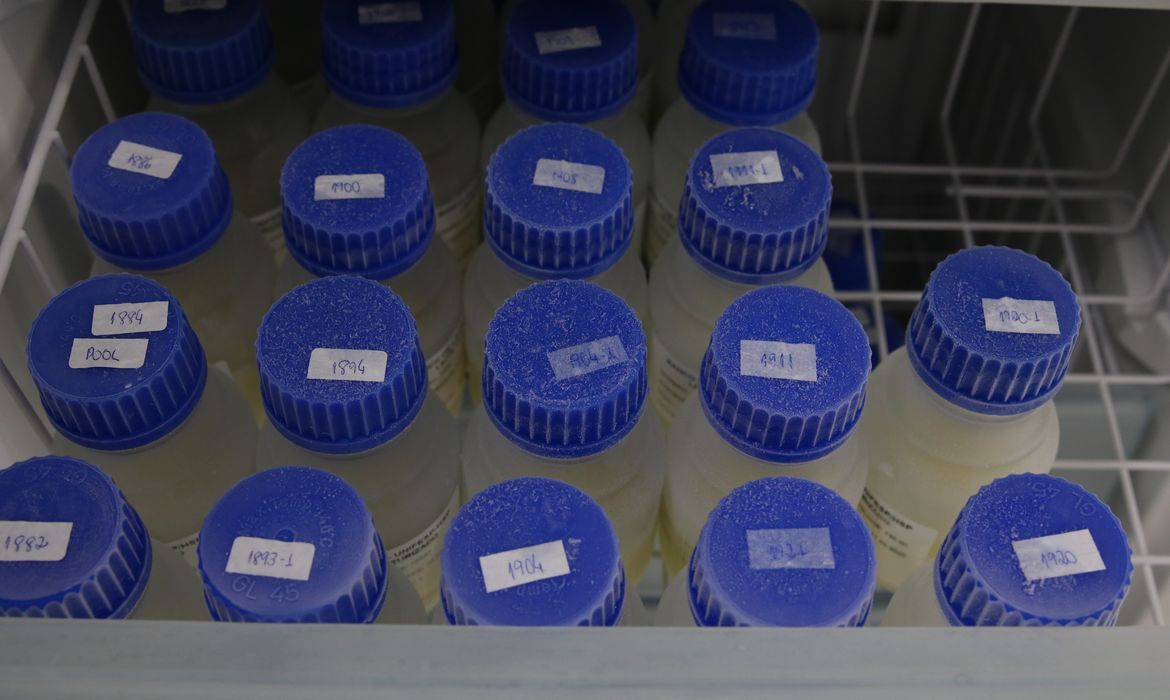  Estoque de leite humano após passar pelo processo de pasteurização no Banco de Leite Humano da Unifesp/HSP.