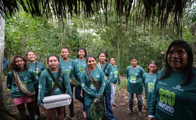 Juara (MT), 08/04/2025 – Mulheres indígenas do Povo Rikbaktsa trabalham na extração do mel em meliponário na aldeia Pé de Mutum, Terra Indígena Japuíra, apoiadas pelo projeto Biodiverso. Foto: Fernando Frazão/Agência Brasil