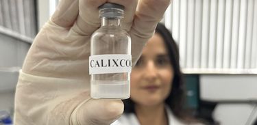 Calixcoca, vacina que está sendo desenvolvida contra dependência de cocaína e crack