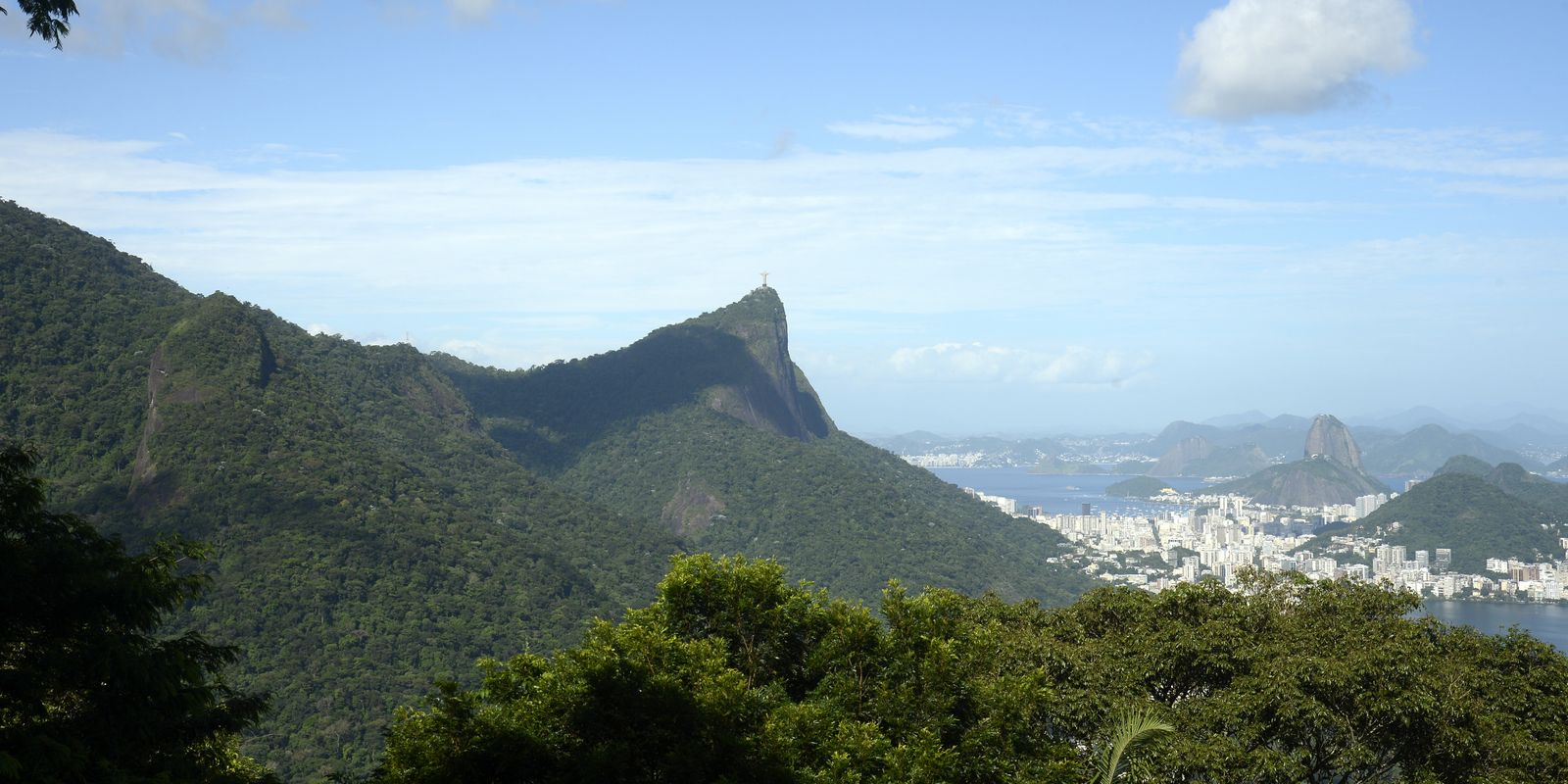 Brazilian Atlantic Forest - From Rio de Janeiro to Santa Catarina
