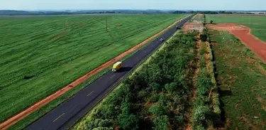 Rodovia Belém-Brasília