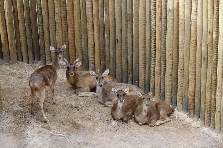Beth Santos/Prefeitura do Rio de Janeiro BioParque
