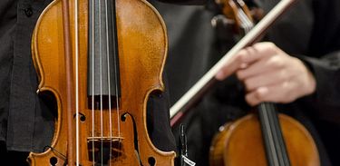 Violino, música, instrumento musica, erudito, orquestra, músicos