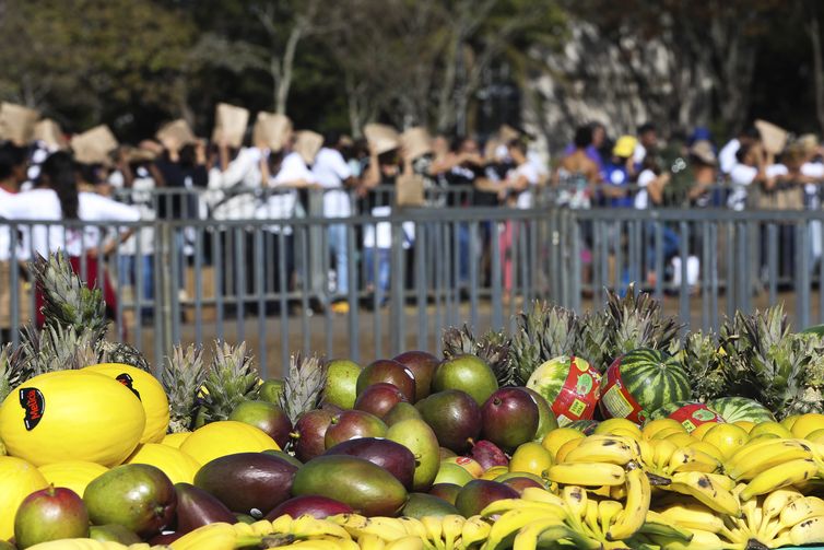 Brasília - A Confederação da Agricultura e Pecuária do Brasil (CNA) distribui na Esplanada dos Ministérios toneladas de frutas, verduras e hortaliças para a população. O evento é para comemorar o Dia do Agricultor (Elza Fiúza/Agência Brasil