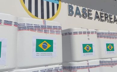 Brasil envia 4,5 toneladas de vacinas para apoio humanitário à Venezuela
A nova remessa inclui imunizantes BCG, tríplice viral e pentavalente. Ao todo, são mais de 690 mil doses doadas