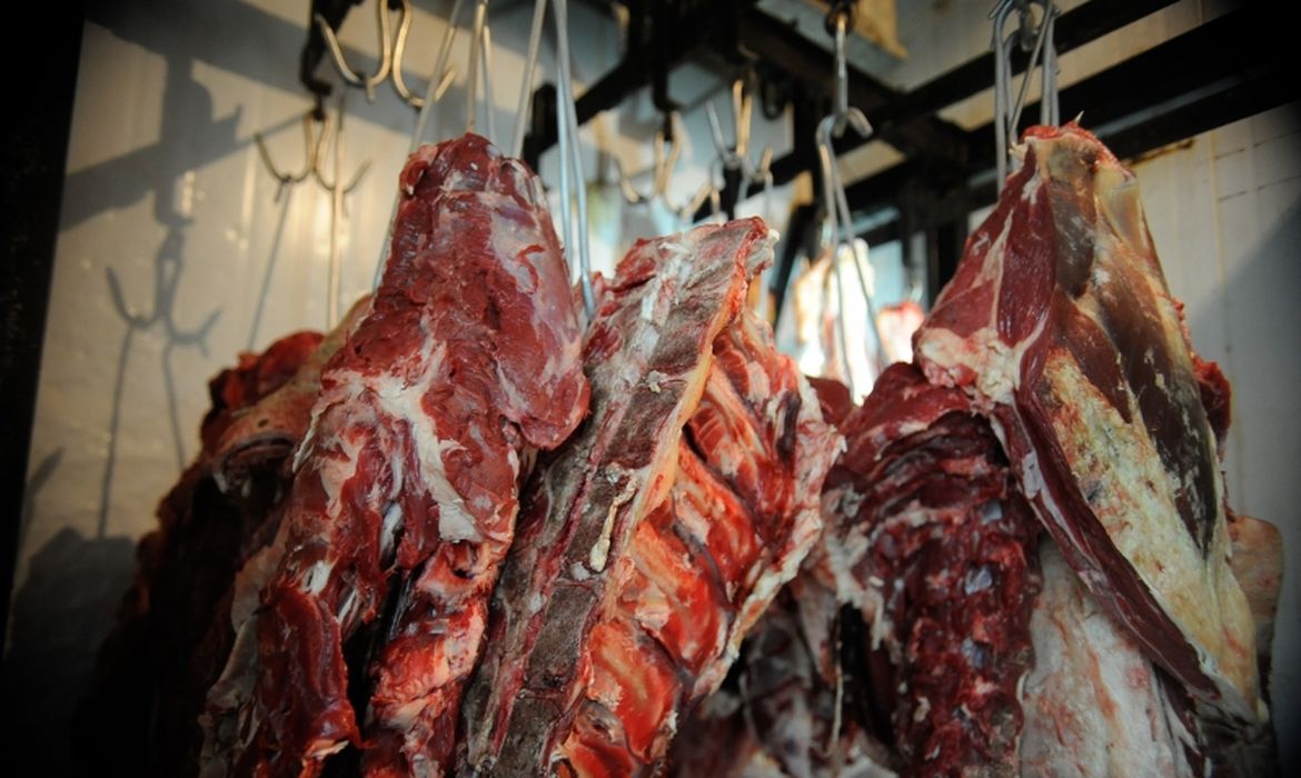 carne