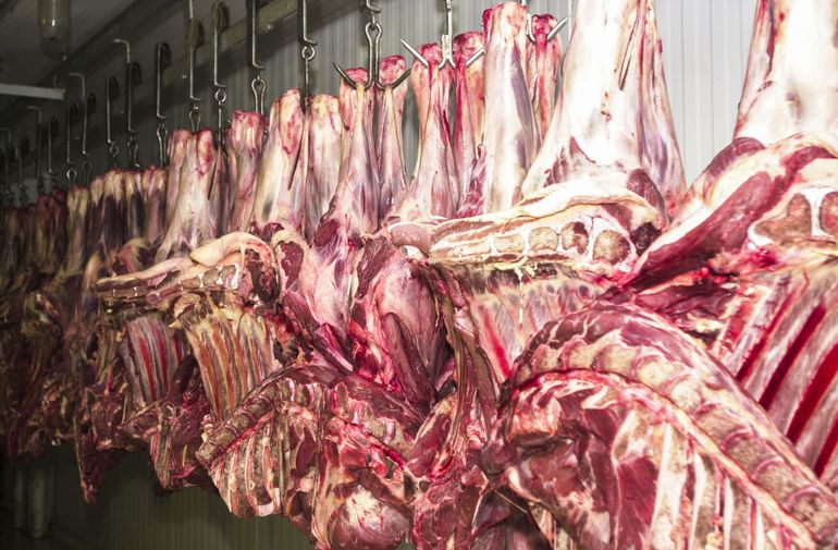 Carne fresca,Açougues, Frigoríficos, alimento