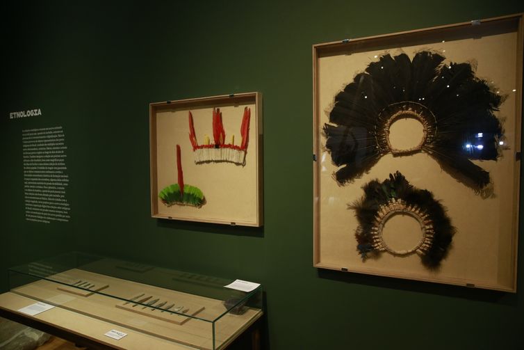 Exposição Museu Nacional Vive - Arqueologia do Resgate, a primeira com peças retiradas do incêndio, no Centro Cultural Banco do Brasil. 
