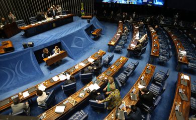 Brasília - Plenário do Senado aprova o substitutivo da Câmara dos Deputados sobre Lei de Migração, que define direitos e deveres do migrante e do visitante no Brasil (Fabio Rodrigues Pozzebom/Agência Brasil)