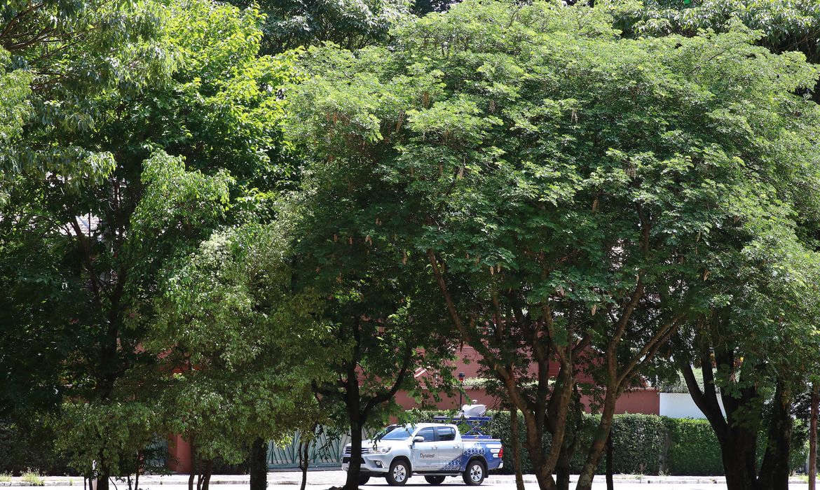 A Prefeitura de São Paulo, por meio da Divisão de Arborização Urbana (DAU) da Secretaria do Verde e do Meio Ambiente , inaugurou  um projeto-piloto de escaneamento das árvores.