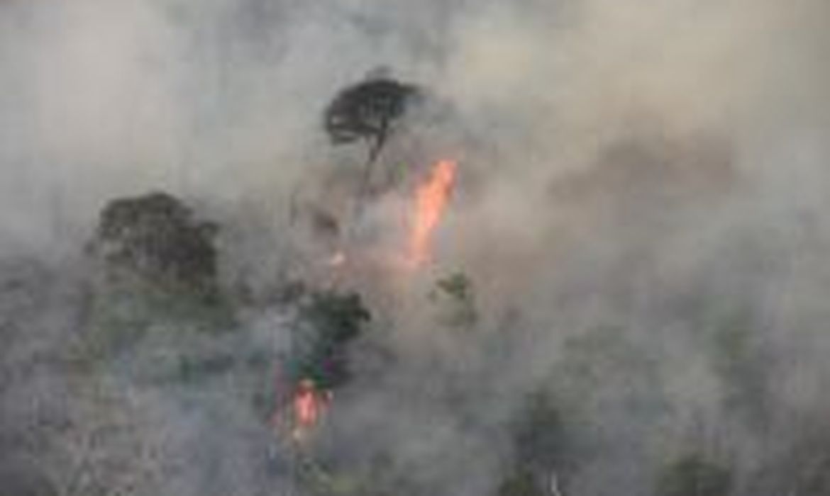 Incêndio atinge parte da Floresta Amazônica na Terra Indígena Arariboia, no município de Amarante, no sudoeste do Maranhão