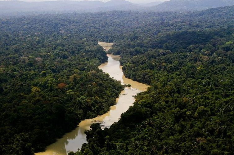 El parque ambiental de Jamanxim es un santuario ecológico de 1.300 hectáreas donde viven especies autóctonas de la Amazonia