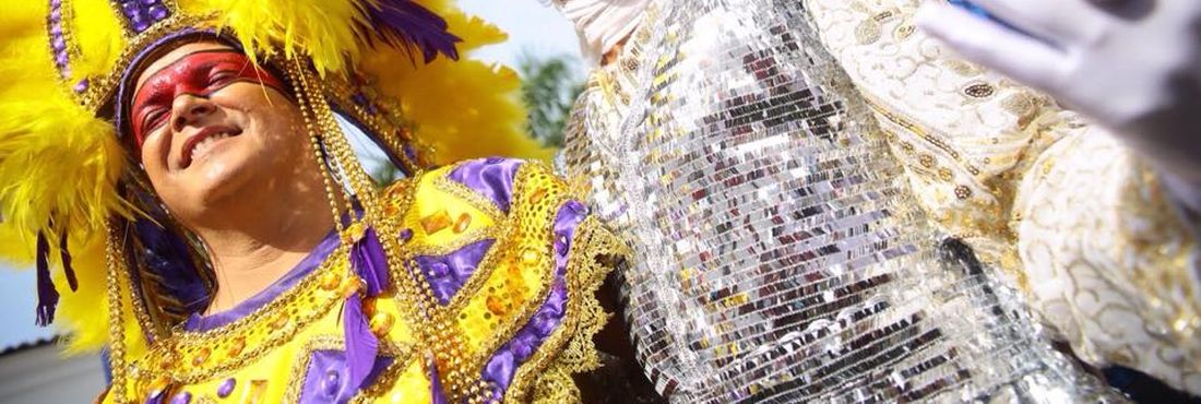 Carnaval do Recife: Confira imagens do Galo da Madrugada