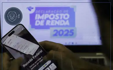 Brasília (DF), 20/03/2025 - Quem precisa declarar o Imposto de Renda. Imposto de renda com máscara.
Foto: Joédson Alves/Agência Brasil
