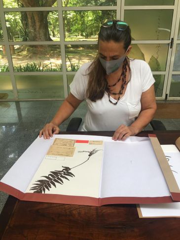 A botânica Rafaela Forzza, coordenadora do projeto Reflora do Jardim Botânico do Rio de Janeiro