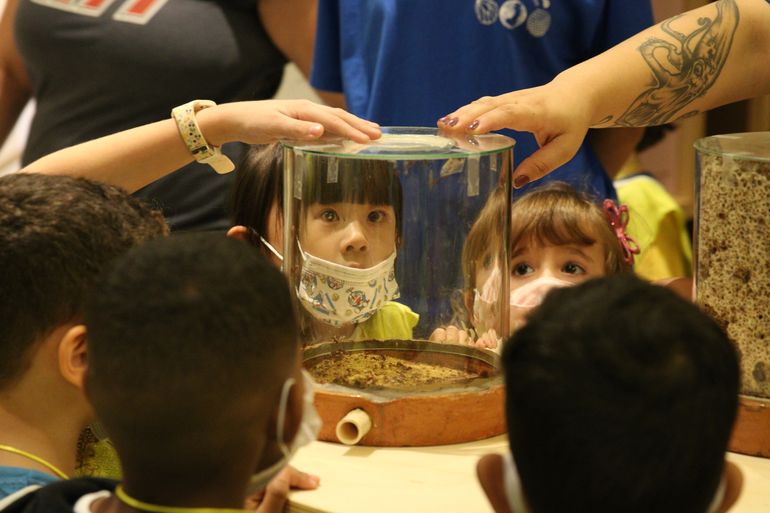 Visita da Escola Municipal de Educação Infantil (EMEI) Heitor Villa Lobos na exposição Planeta Inseto, no Museu do Instituto Biológico.