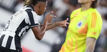 Botafogo 4 x 0 Cruzeiro