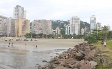 Praia de Santos passa a aceitar cães