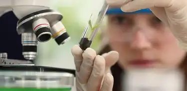 Mulheres na ciência 