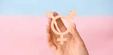 Bandeira da visibilidade trans