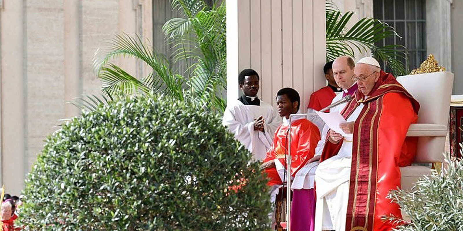 Papa celebra missa do Domingo de Ramos