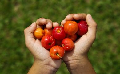 Cerrado: brincar na natureza traz benefícios para a saúde das crianças, interagir com a natureza diariamente promove saúde física e mental