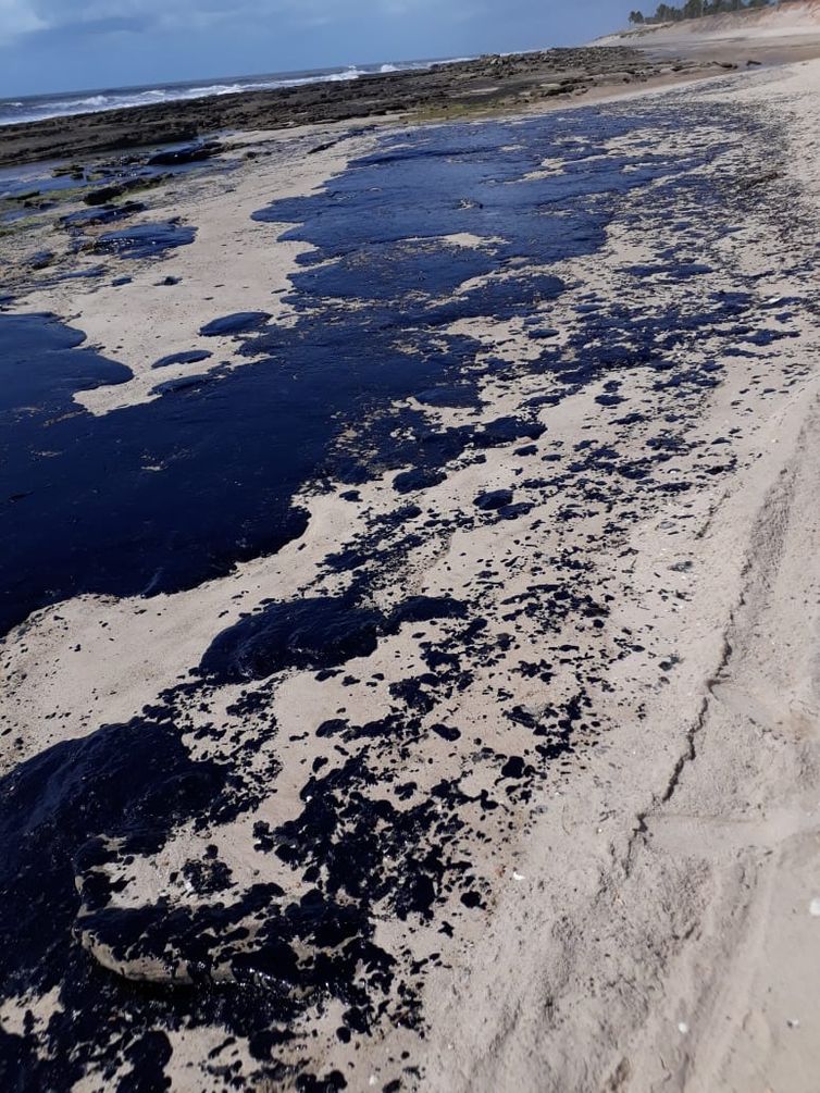  Petrobras resíduos de óleo praias do Nordeste
