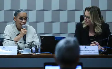 Brasília (DF) 04/09/2024 Ministra Marina Silva fala na CMA do Senado sobre queimadas no Brasil. 
Lula Marques/ Agência Brasil