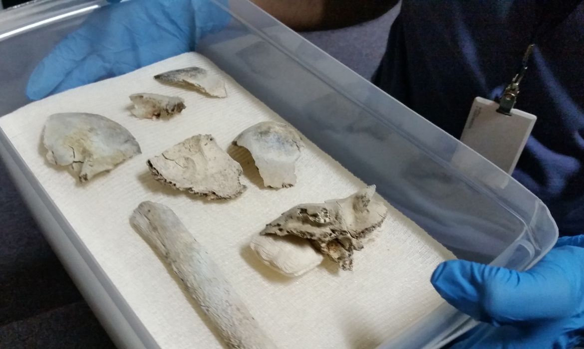 Encontrados fragmentos do crânio de Luzia, o fóssil mais antigo já encontrado no continente americano, nos escombros do Museu Nacional