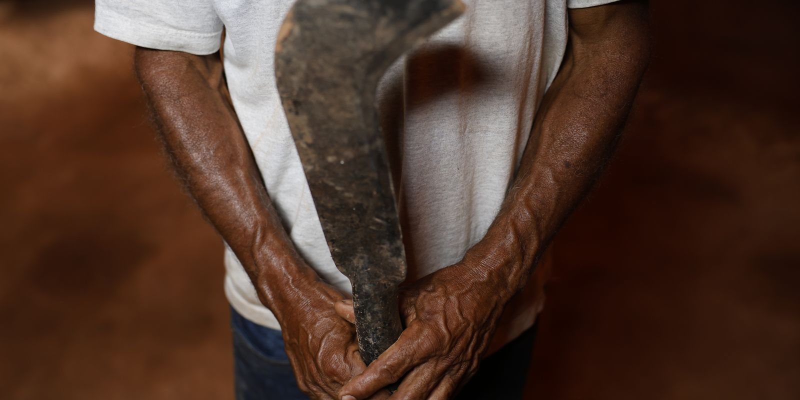 Fronteira Cerrado: desmatamento gera conflitos por terra e grilagem