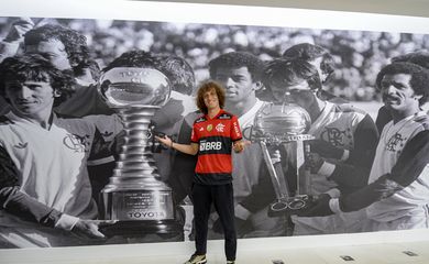 david luiz, flamengo