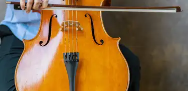 Violoncelo 