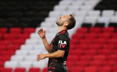 Brasileiro Championship - Flamengo v Red Bull Bragantino