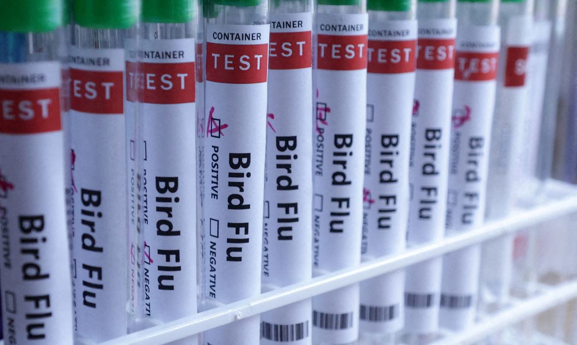 Tubos de testes de gripe aviária
