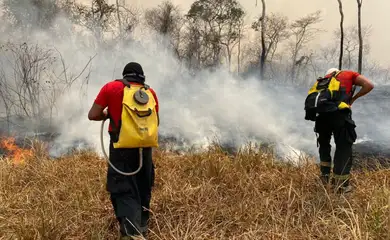 Alvorada do Oeste (RO), 25.08.2024 - Força-Tarefa do Corpo de Bombeiros combate incêndios florestais em Alvorada do Oeste em Rondônia. Foto: CBMRO/Divulgação