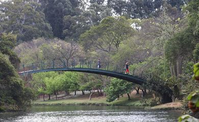 Parque do Ibirapuera completa 65 anos.