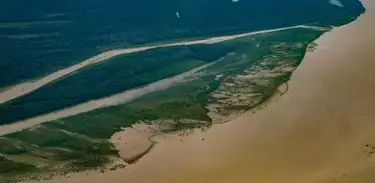Estatística mostra que Nos últimos 40 anos, a Amazônia e o Cerrado tiveram 86% da área queimada.