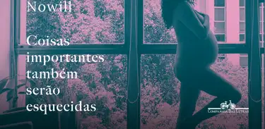 Livro Coisas importantes também serão esquecidas, de Martha Nowill