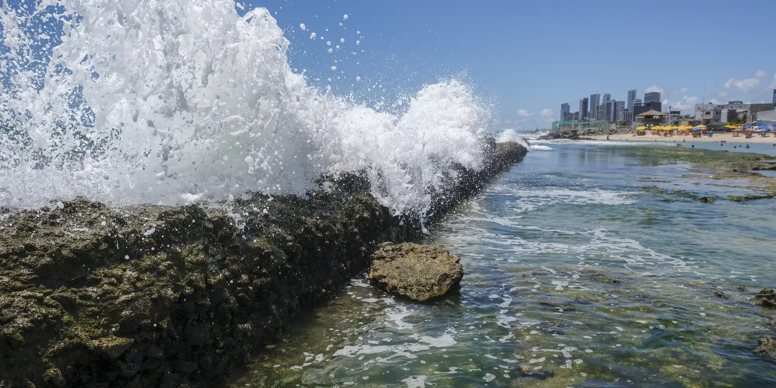 Coral reefs in Northeast Brazil prevent BRL 160 billion damage