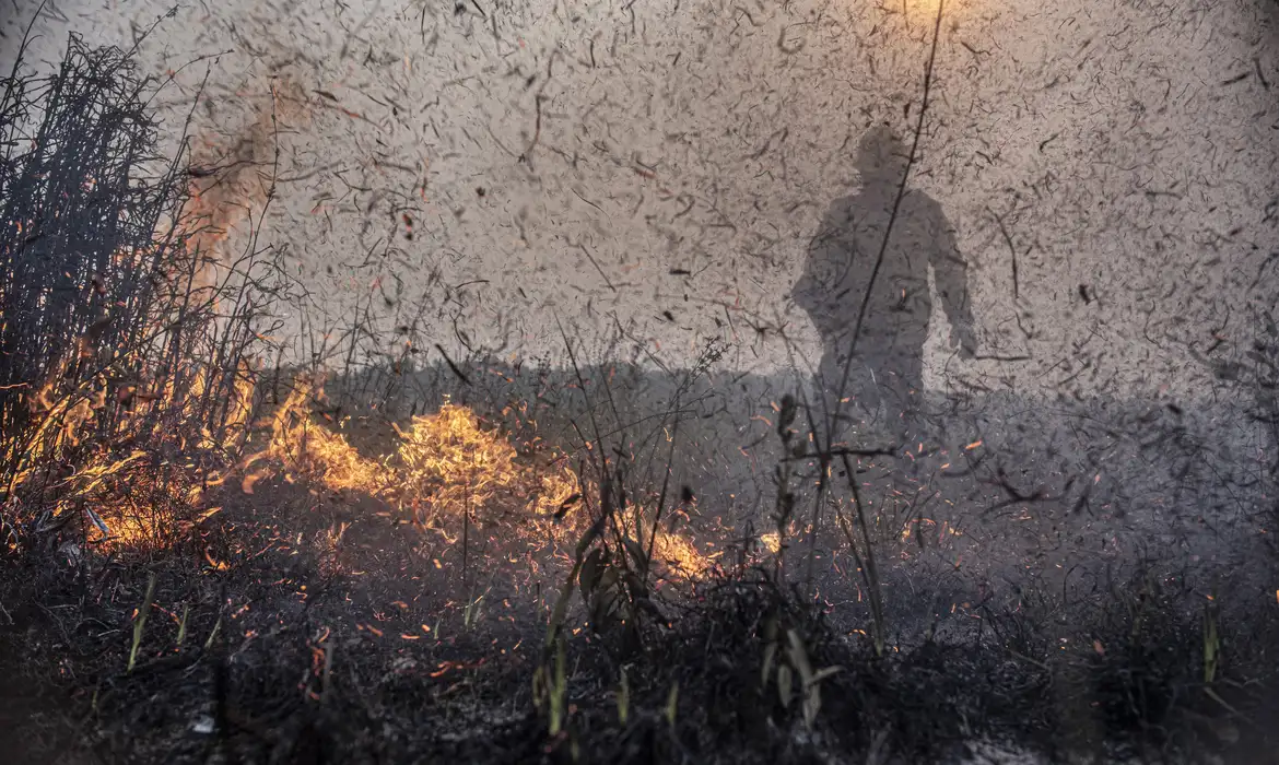 Aumento de Incêndios no Brasil em 2023