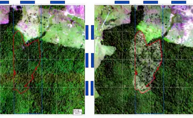 Brasília (DF) 05/02/2025 -  BNDES usa imagens de satélite para barrar empréstimo a desmatadores
Imagem satélite MapBiomas/Divulgação