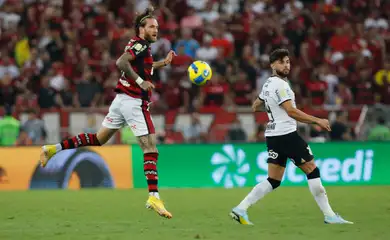 flamengo, corinthians, brasileiro