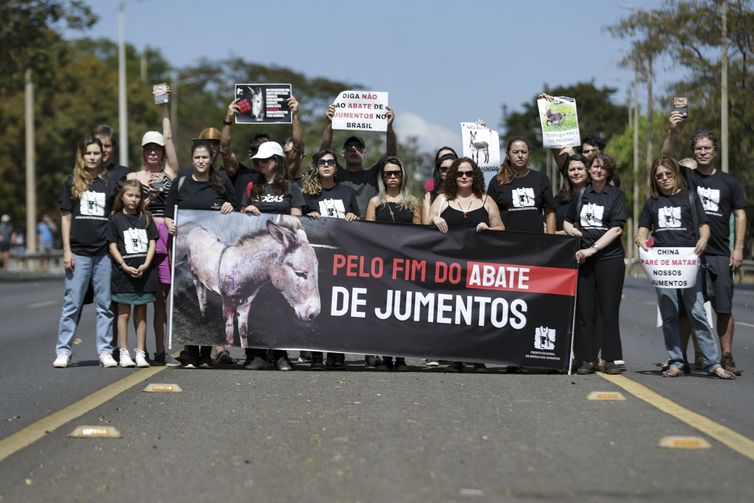 Brasília (DF), 30/07/2023 - Entidades de proteção dos animais, ativistas e advogados realizam manifestação contra o abate de jumentos no Brasil. Foto: Marcelo Camargo/Agência Brasil