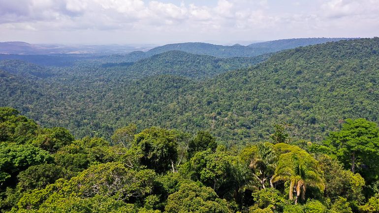 O vice-presidente da República, Hamilton Mourão, e os chefes de missões diplomáticas à Amazônia Oriental, fazem sobrevoo sobre a Floresta Nacional de Carajás e visita à mineradora Vale.