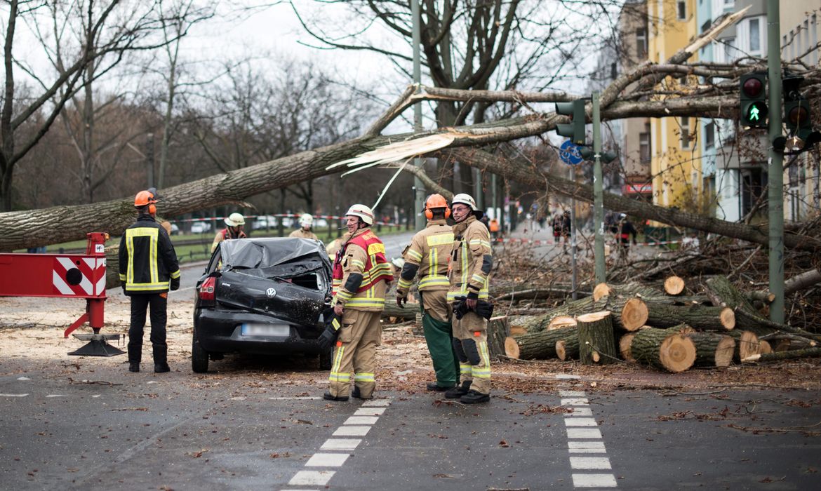 Serviço de emergência alemão limpam a área onde uma árvore caiu sobre um carro em uma rua de Berlim 