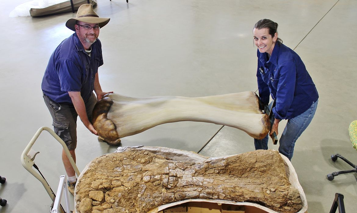 Dinossauro descoberto na Austrália,El doctor Scott Hocknull y Robyn Mackenzie posan con una reconstrucción 3D del húmero del dinosaurio