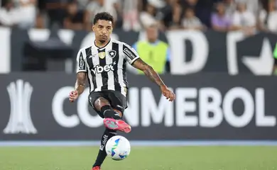 botafogo, libertadores, futebol