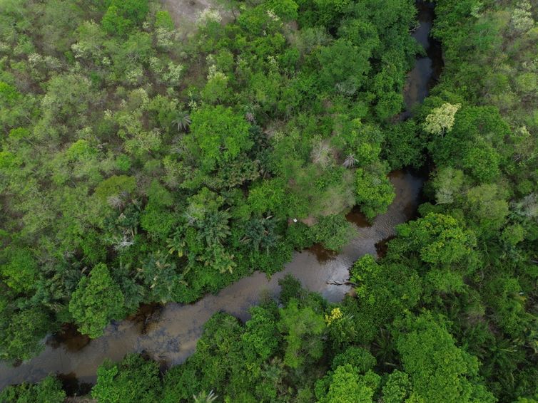 dji_0255_0 Fronteira Cerrado: o agronegócio entre desenvolvimento e destruição