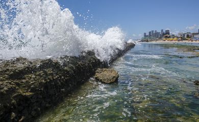 Recife(PE), 24/10/2023 - Explosão de ondas nos recifes costeiros na praia do Buraco da Véia, com a orla de Boa Viagem ao fundo, funcionando como barreira natural. As formações rochosas absorvem até 96% do impacto das ondas.  Foto: Fernando Frazão/Agência Brasil